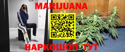 Альфа ПВП Бердск