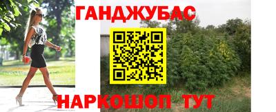 Альфа ПВП Бердск