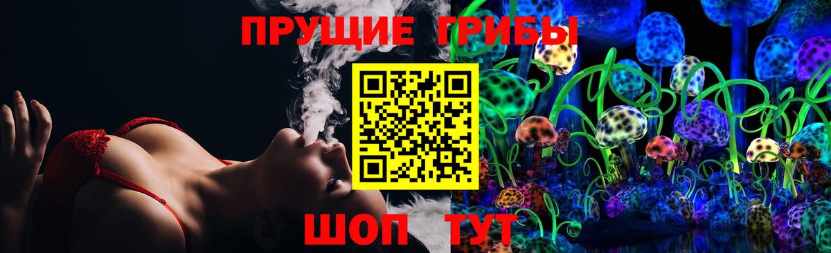 Богданович  Псилоцибиновые грибы Psilocybe  Вход с VPN  Псилоцибиновые грибы ЛСД 