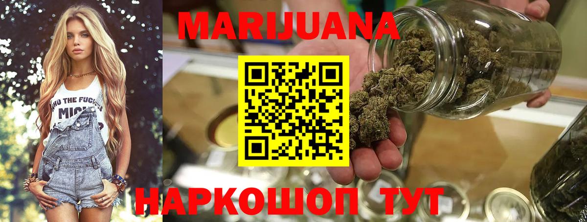 Богданович  Бошки Шишки ГИДРОПОН  Вход с VPN  Каннабис план 